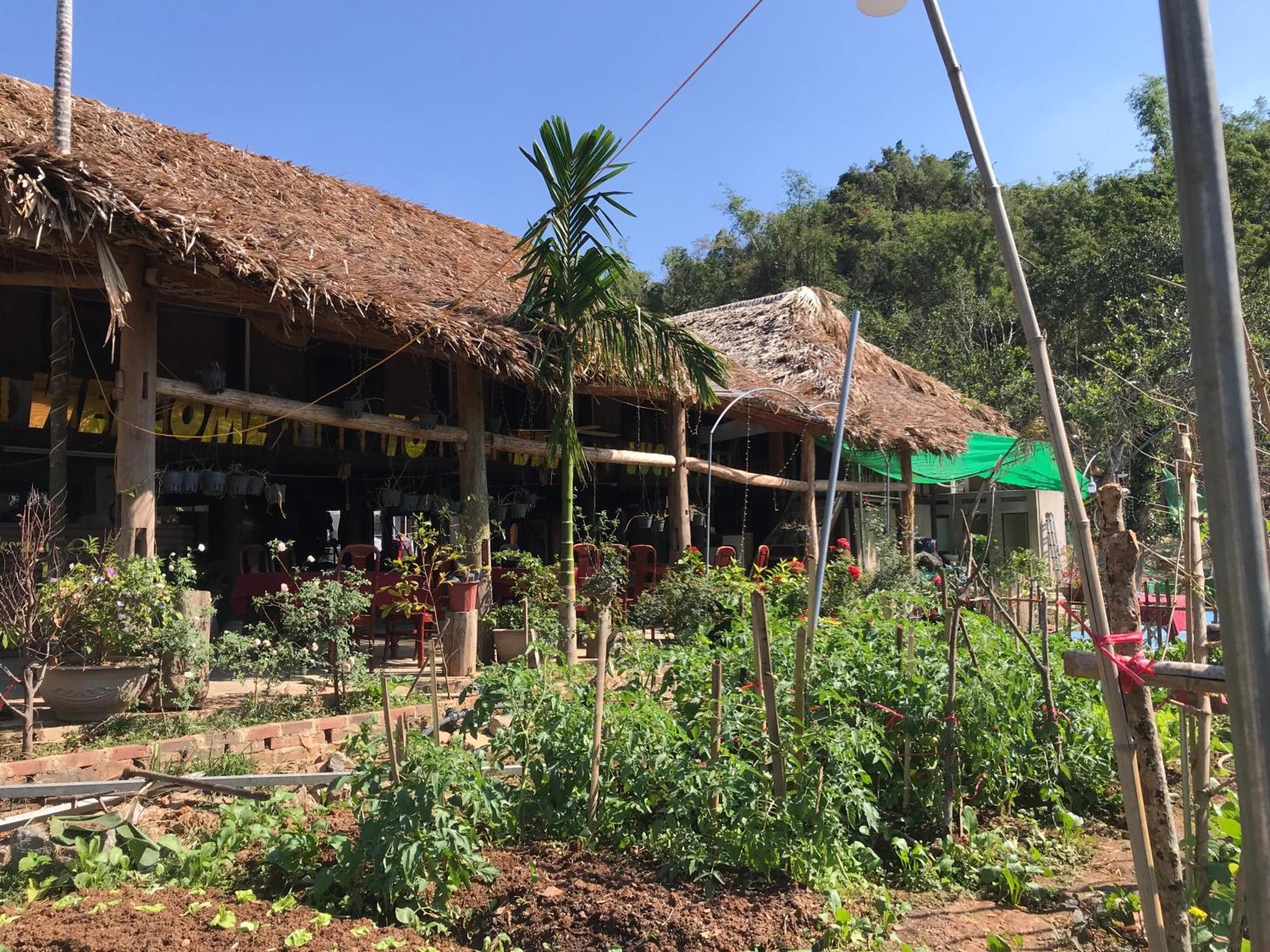 Bee Lucky Homestay Hien Hao Ngoại thất bức ảnh
