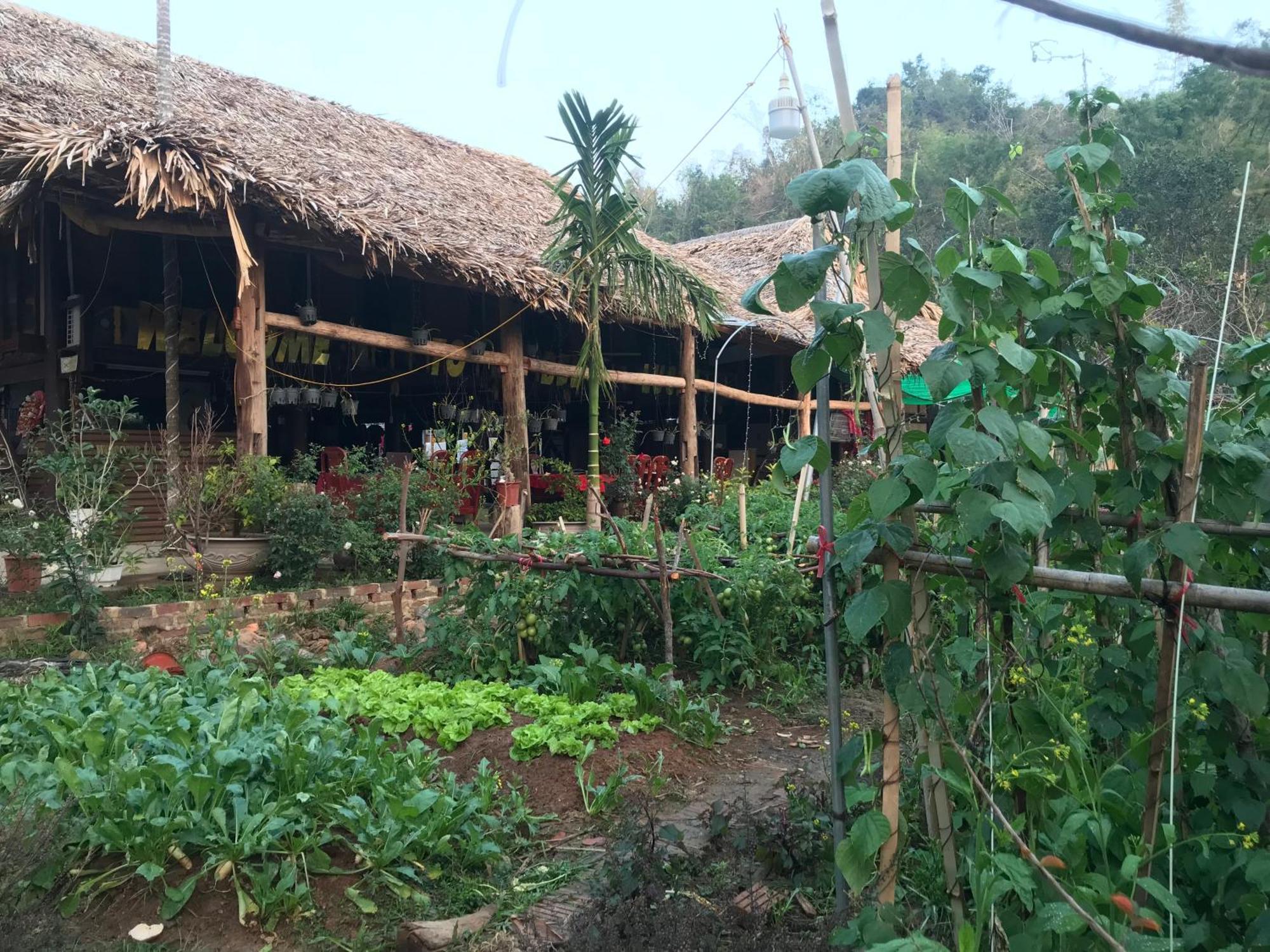 Bee Lucky Homestay Hien Hao Ngoại thất bức ảnh