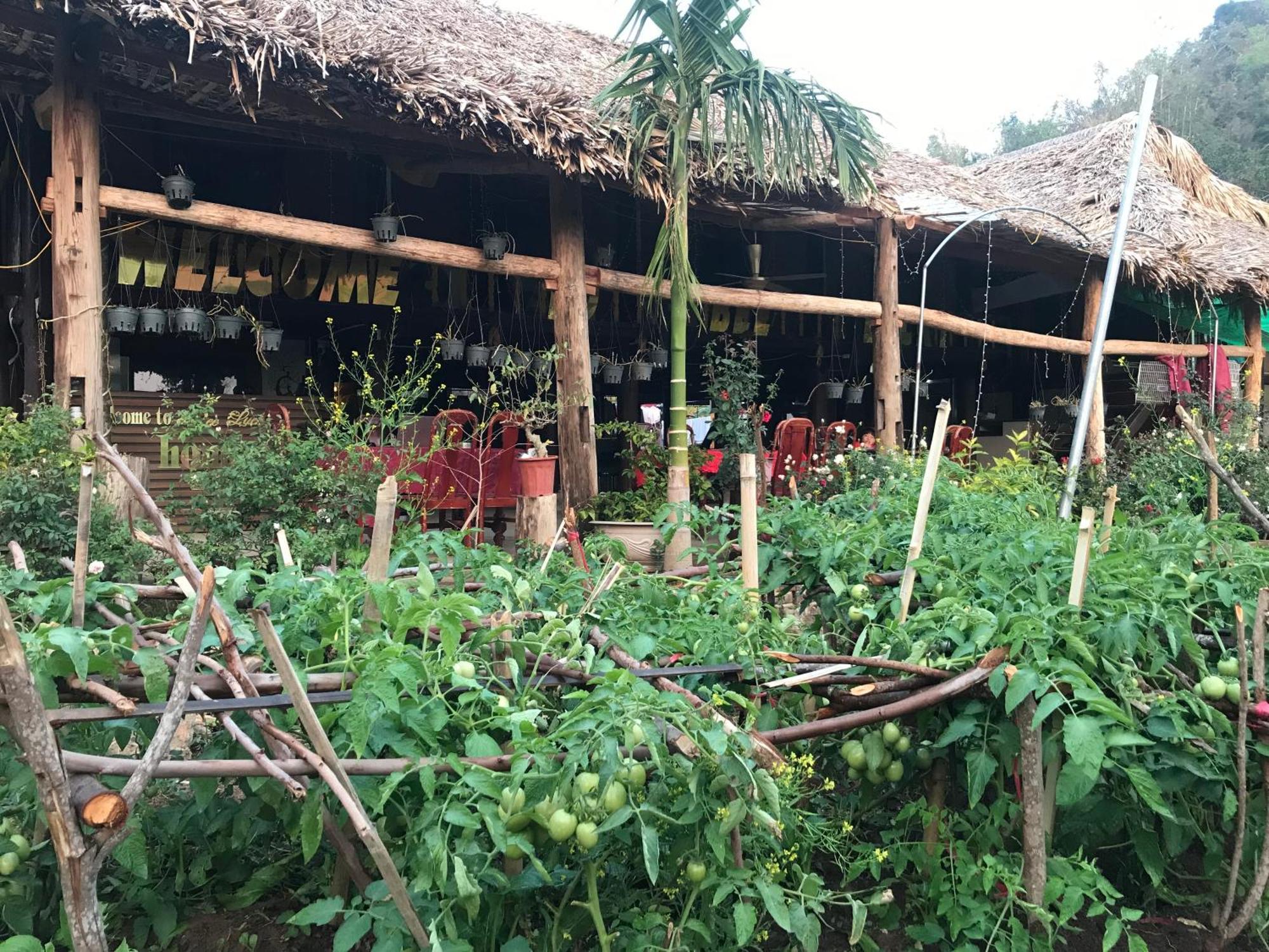 Bee Lucky Homestay Hien Hao Ngoại thất bức ảnh